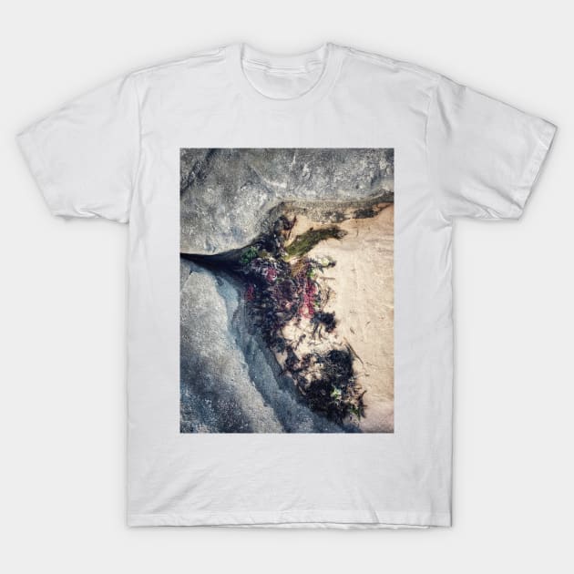 Seaweed Studies T-Shirt by goodieg